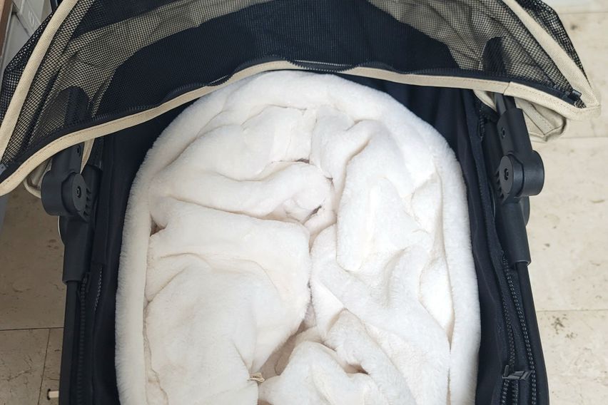 삼성동/펫가능/여성1인 9번째 이미지