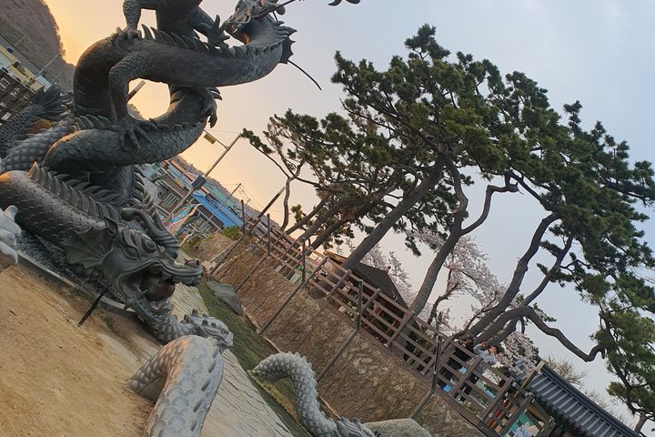 단기임대포항독채저렴달방 7번째 이미지