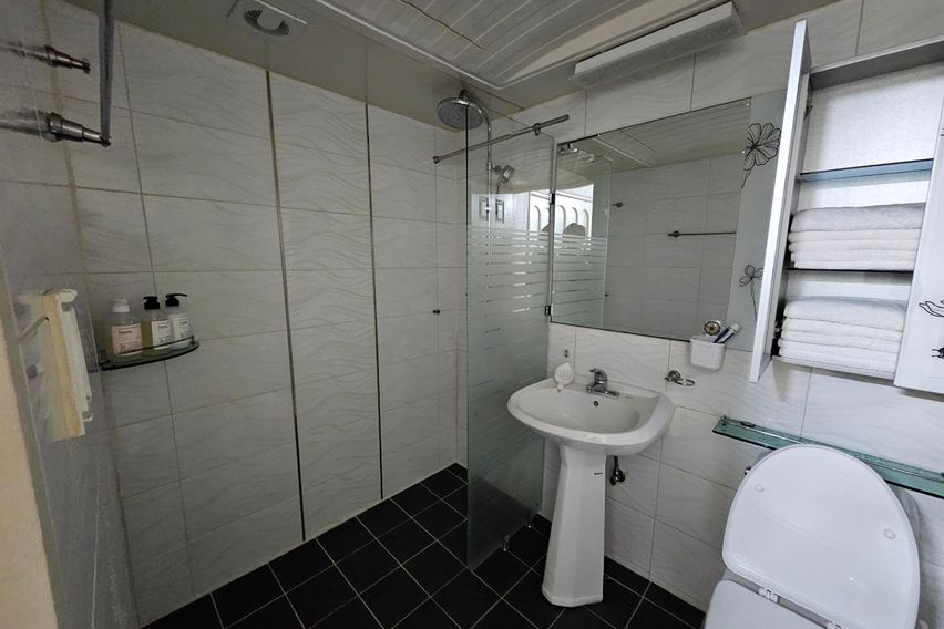 비하 3인 아늑한 투룸