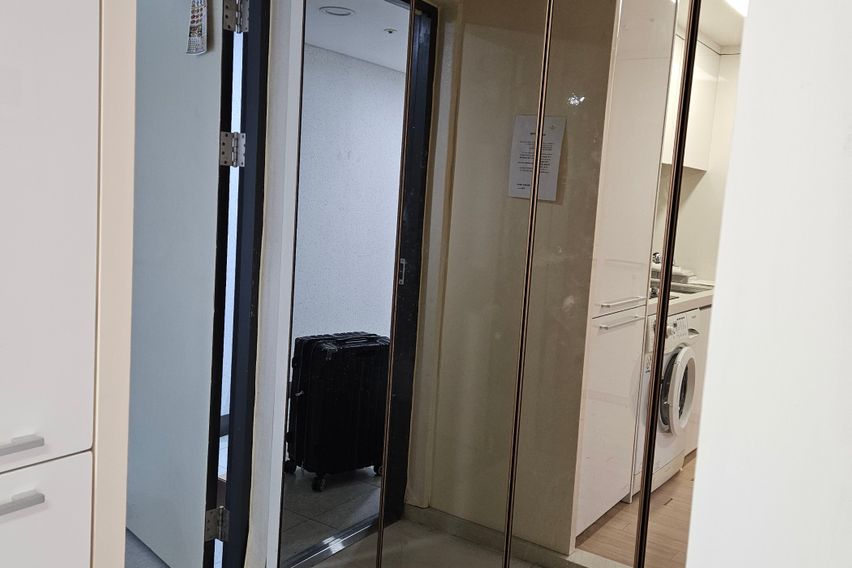 메이준_1월특가