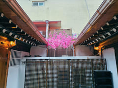 Traditional Korean house/11 people/5 air cond 16th image