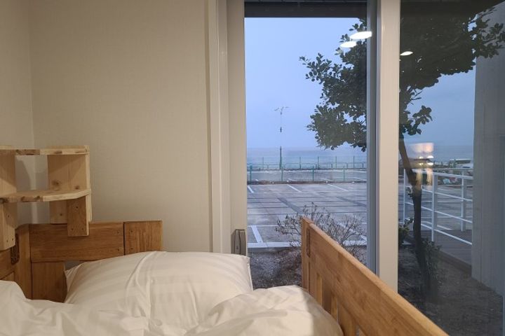 속초살이109호 9번째 이미지