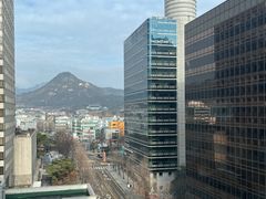 광화문/리뷰1위/3인 19번째 이미지