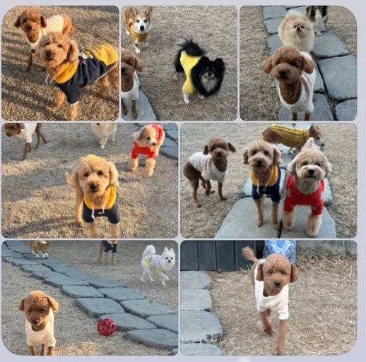 만년동 #풀옵션 273 1번째 이미지
