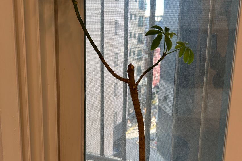 하나캐슬-신길운수차고지