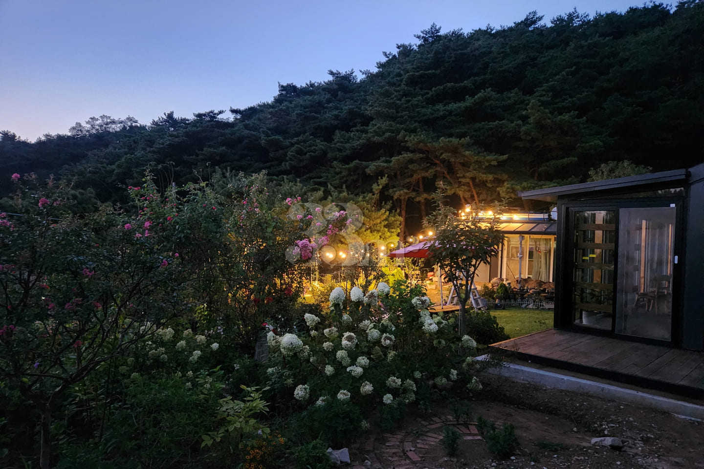 A room with a pretty garden in the forest. 3th image
