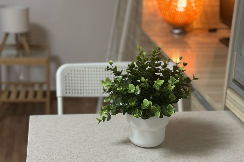 건양대병원과마치광장사이