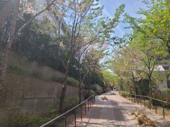 한남동 모던한 복층  11번째 이미지