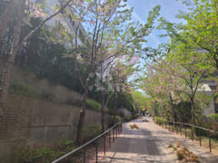 Modern duplex in Hannam-dong 11th image