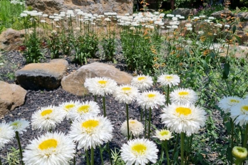 2호선신대방역 도보5분