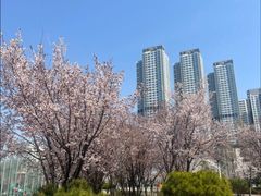 #천안아산역,신축,3룸 11번째 이미지