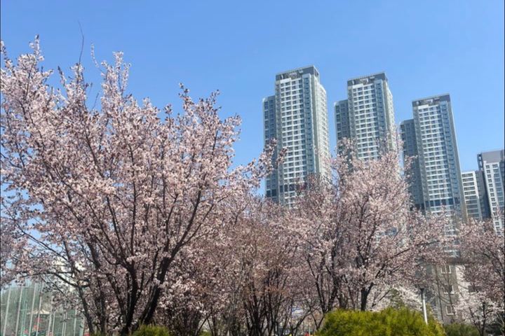 #천안아산역,신축,3룸 11번째 이미지