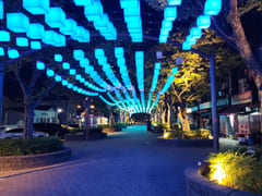 Hotspots at Jungang Market and Wolhwa Street 17th image