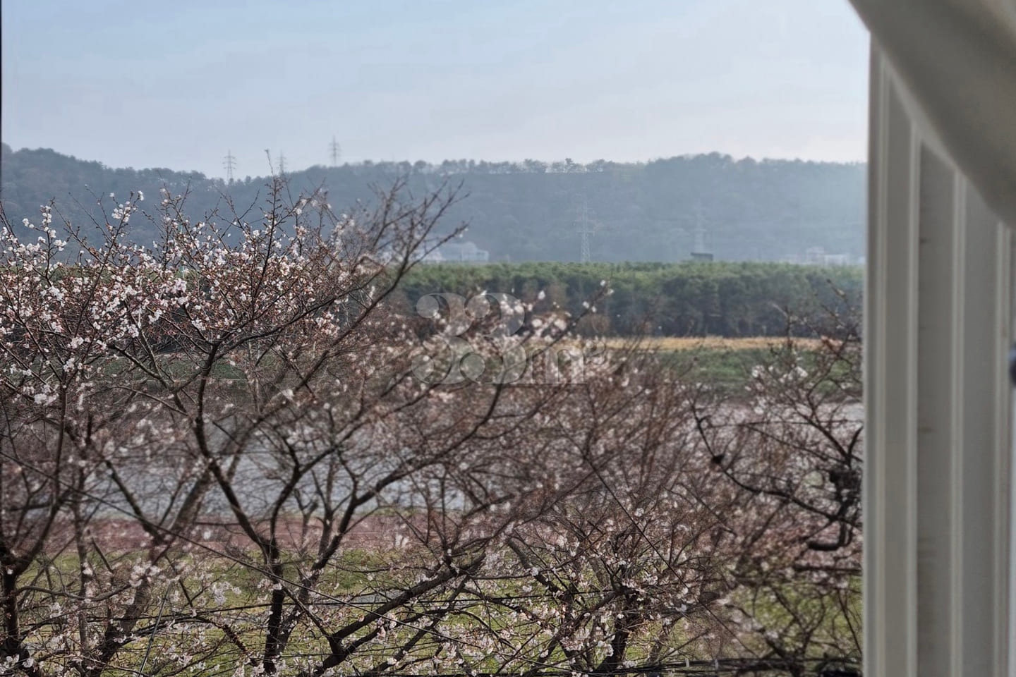 House with a view of Taehwagang National Gard 9th image