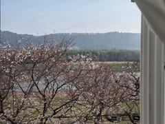 House with a view of Taehwagang National Gard 9th image