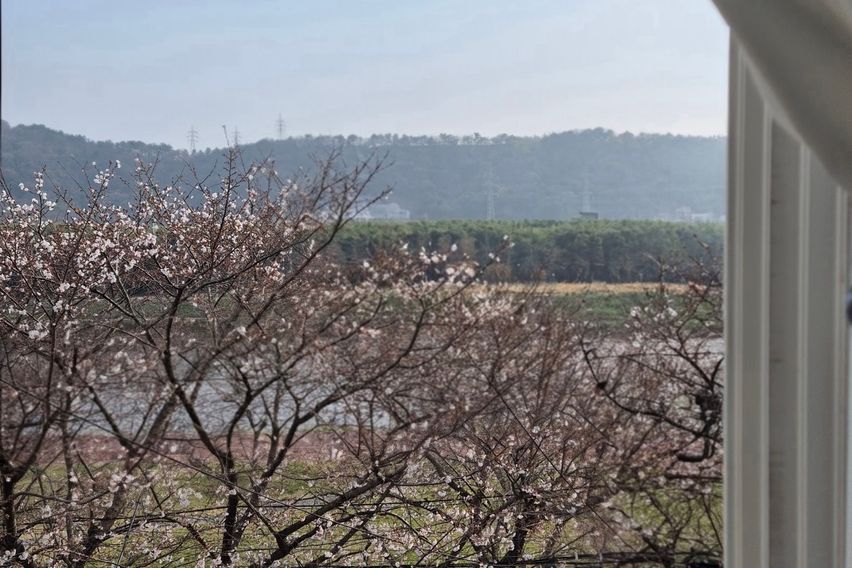 태화강국가정원 담긴집♧ 8번째 이미지