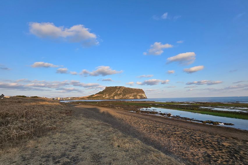 일출봉의대나무친환경 숙