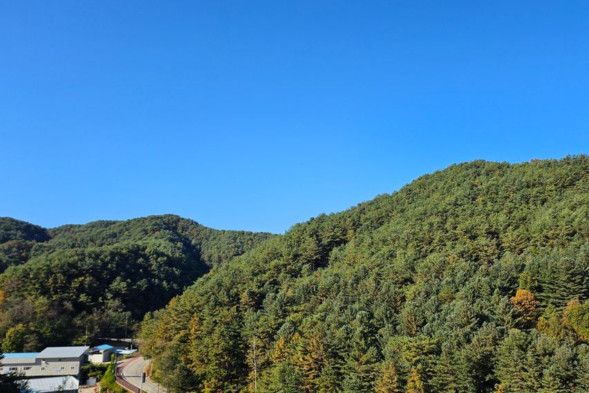 홍천의 자랑 럭셔리신축