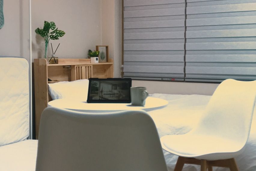 선릉 네입클로버(신규)