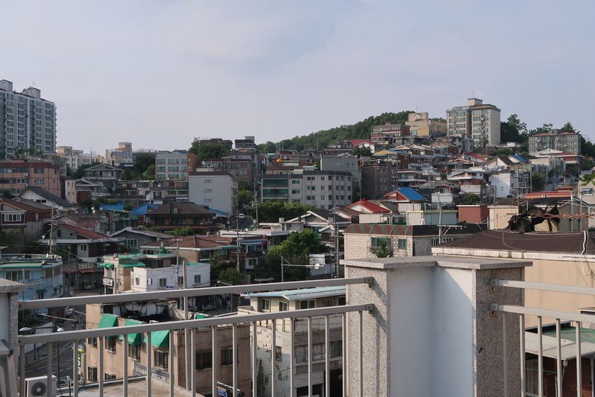 복층나무|반려동반 14번째 이미지