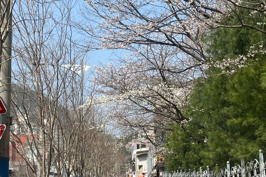 부산서면 어린이대공원2 13번째 이미지