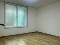 루피네 13번째 이미지