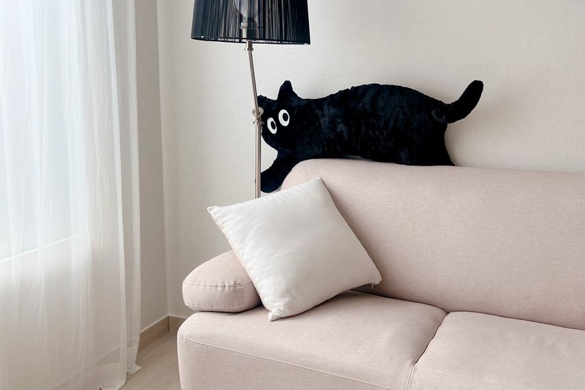 주차4인강서마곡신축투룸 0번째 이미지