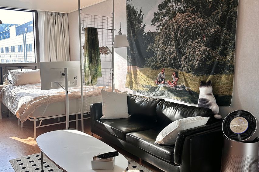 정발산역/암센터 인근🧡