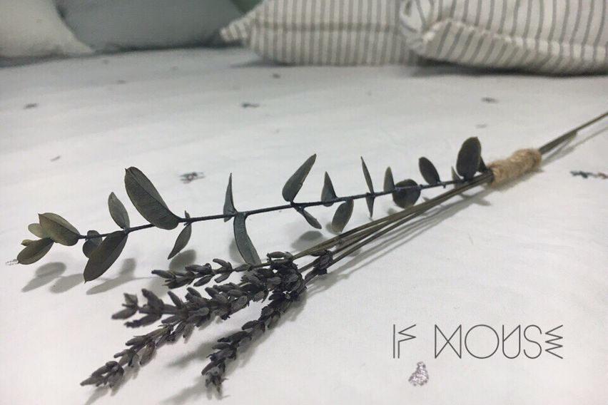 🌿부산 서면iF🦋 5번째 이미지