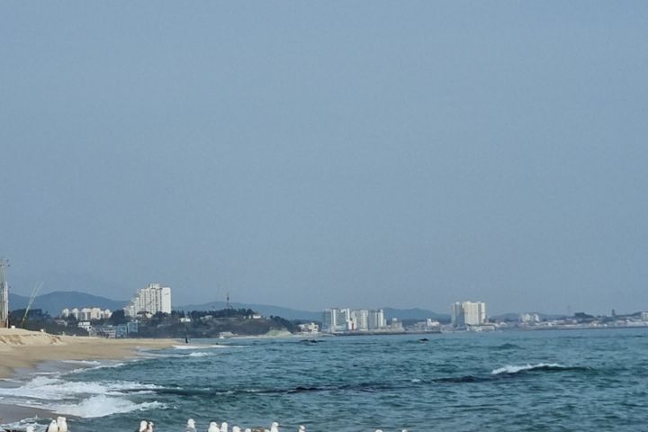 오션뷰16층 힐링베이 16번째 이미지