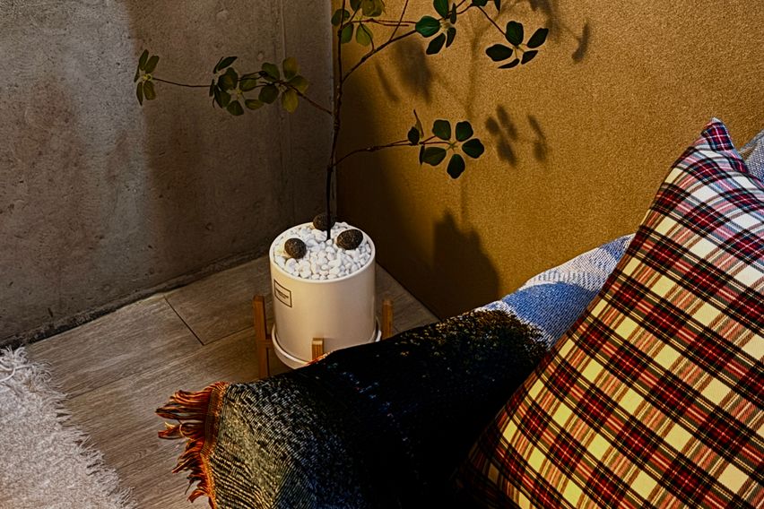 고요[Goyo]  3번째 이미지