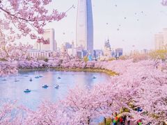 🧡석촌호수 편안한 공간 17번째 이미지