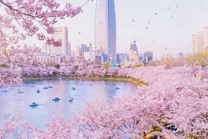 🧡석촌호수 편안한 공간 17번째 이미지