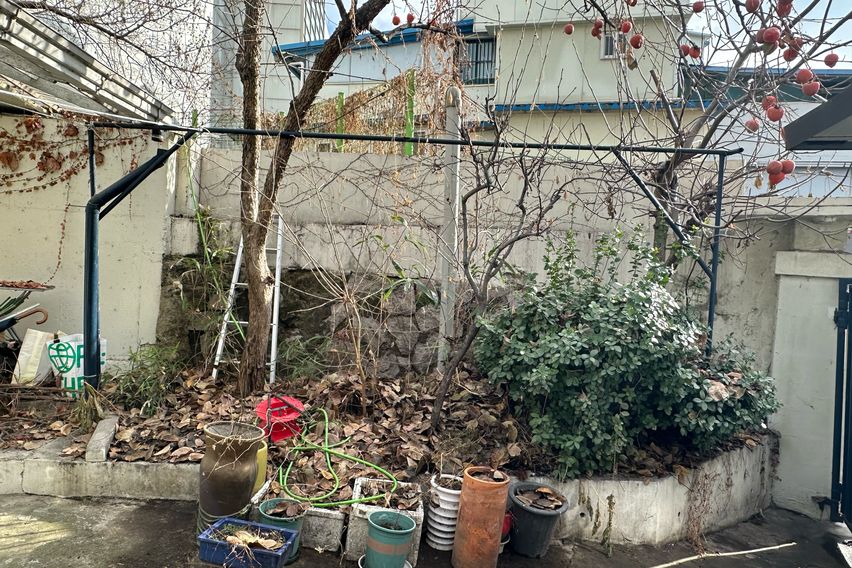 호도나무 집 9번째 이미지