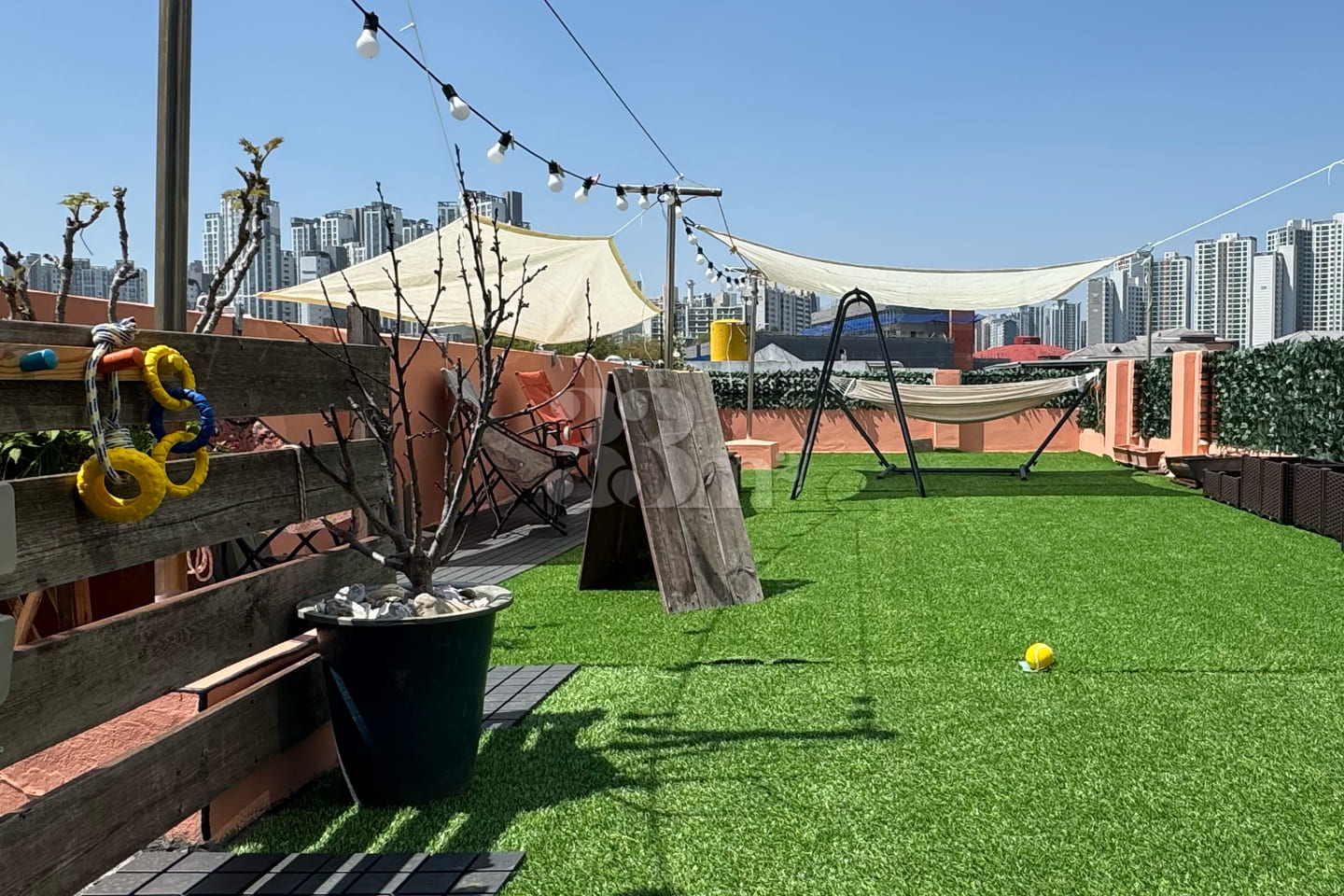Pet-friendly rooftop right by the subway stat 6th image