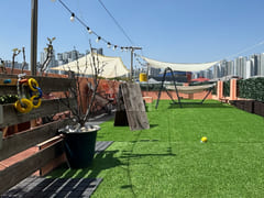 Pet-friendly rooftop right by the subway stat 6th image
