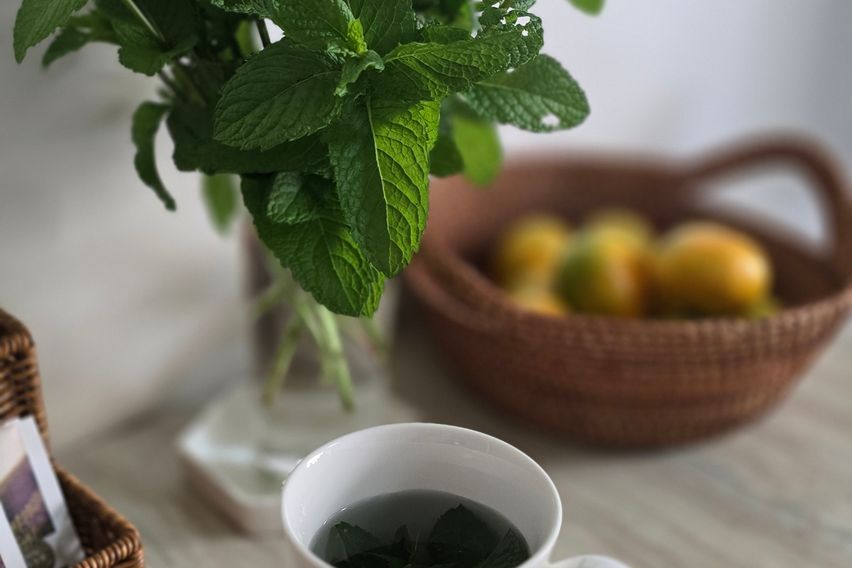 공항10분,해변10분