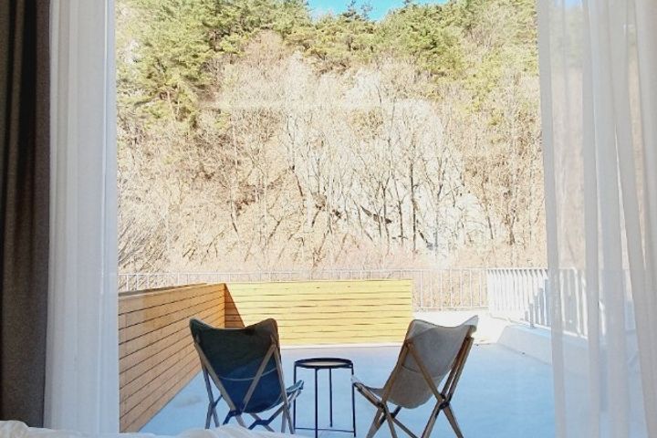 애기단풍 8번째 이미지