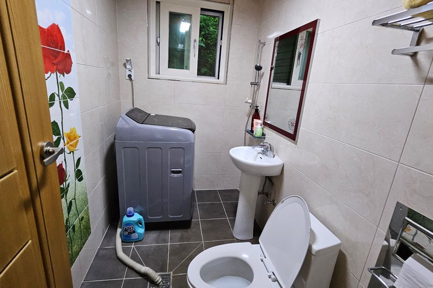 단독 사용 하루한팀