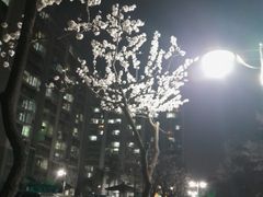 평택원평♡우만가♡ 16번째 이미지