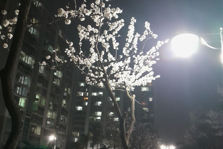평택원평♡우만가♡ 16번째 이미지