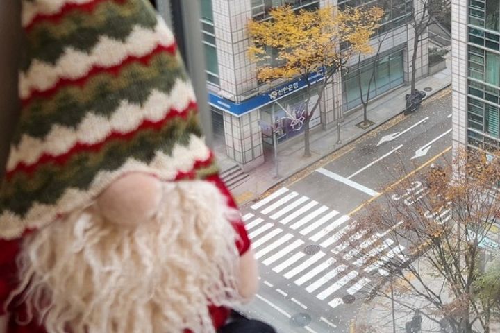 경복궁_담 넘은 고양이 11번째 이미지