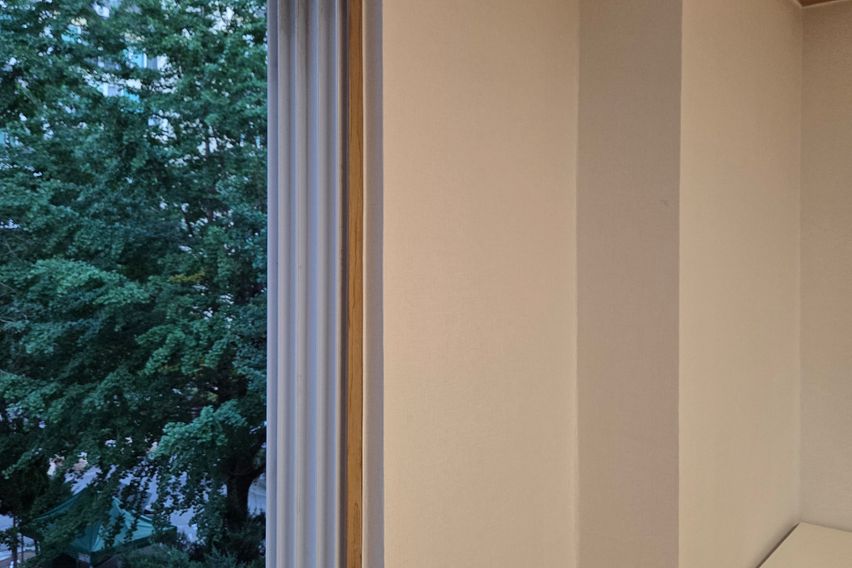 여의도#신림선#가성비 15번째 이미지