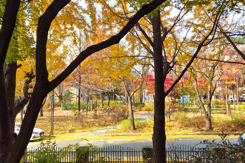 🔶️풀옵션 분리형 원룸🔶️ 16번째 이미지