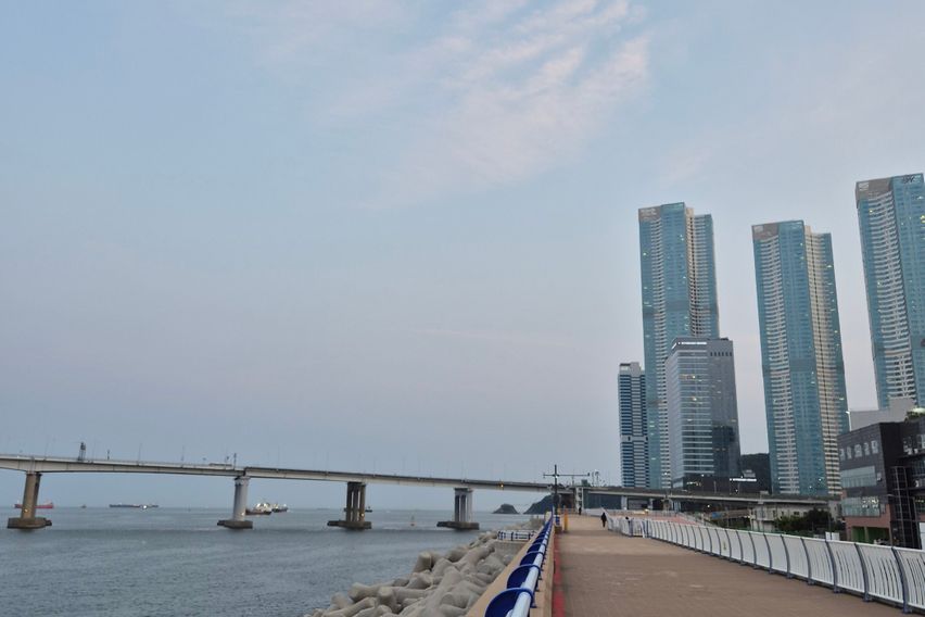 송도해수욕장 102호