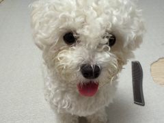 천호역 5분 복층 10번째 이미지