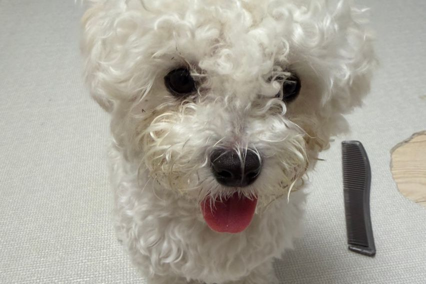 천호역 5분 복층 10번째 이미지