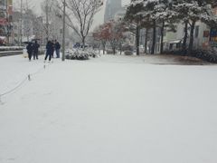 홍대연남동풀옵션 E 8번째 이미지
