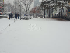 홍대연남동풀옵션 E 8번째 이미지