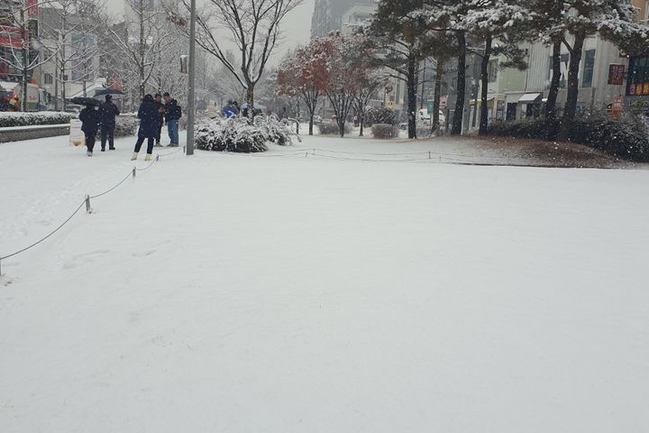 홍대연남동풀옵션 E 8번째 이미지